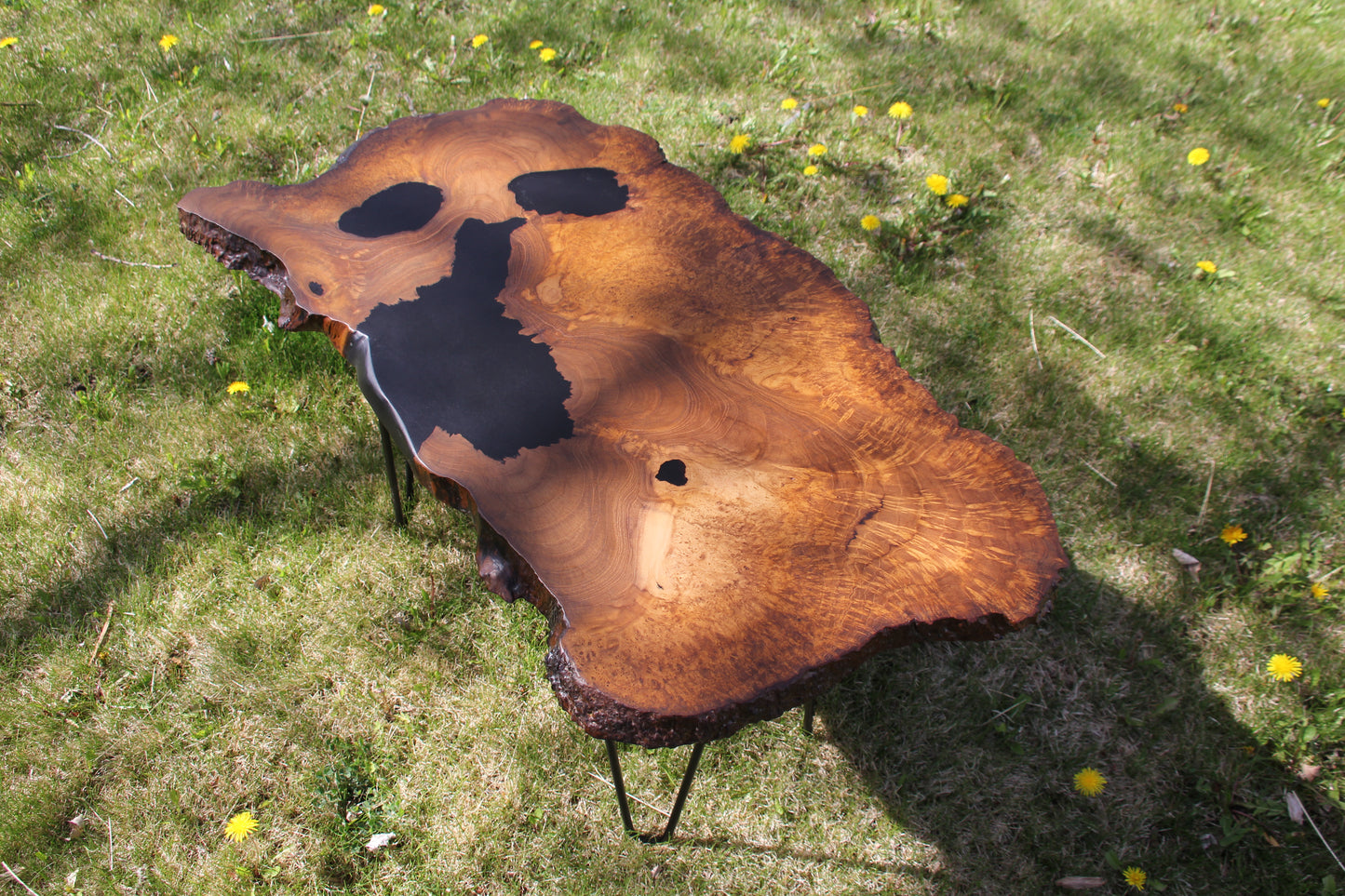 Teak Burl Table