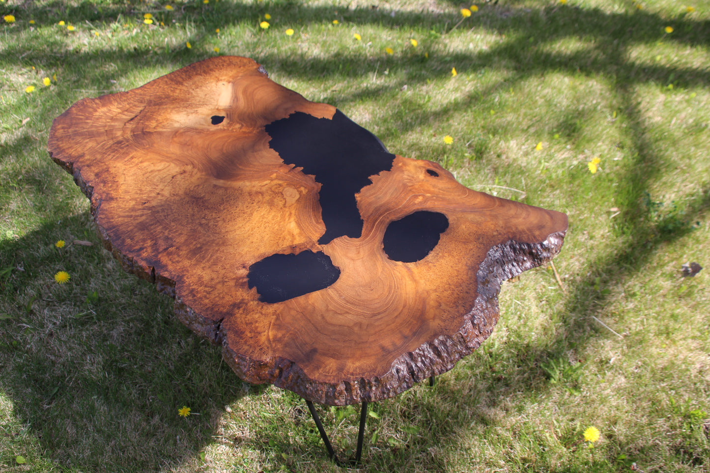 Teak Burl Table