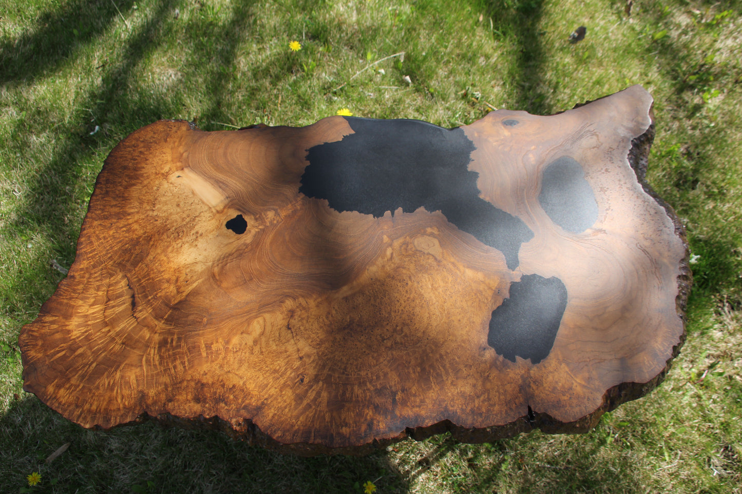 Teak Burl Table