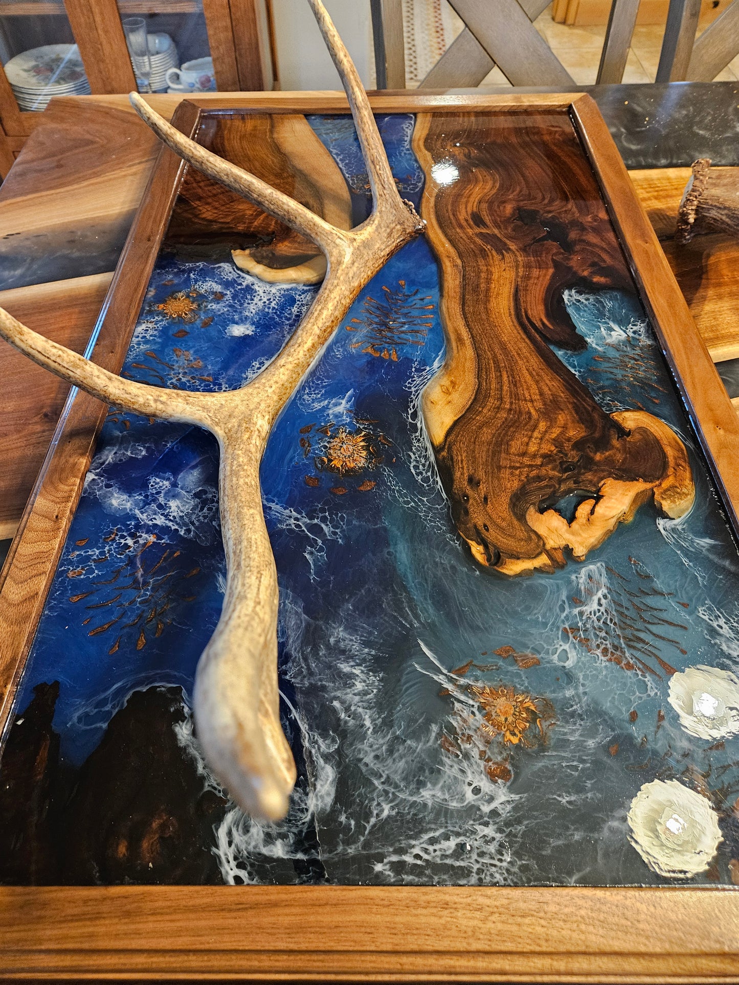 Shed Elk Antler Wall Hanging - "MT Wildlife Collection"