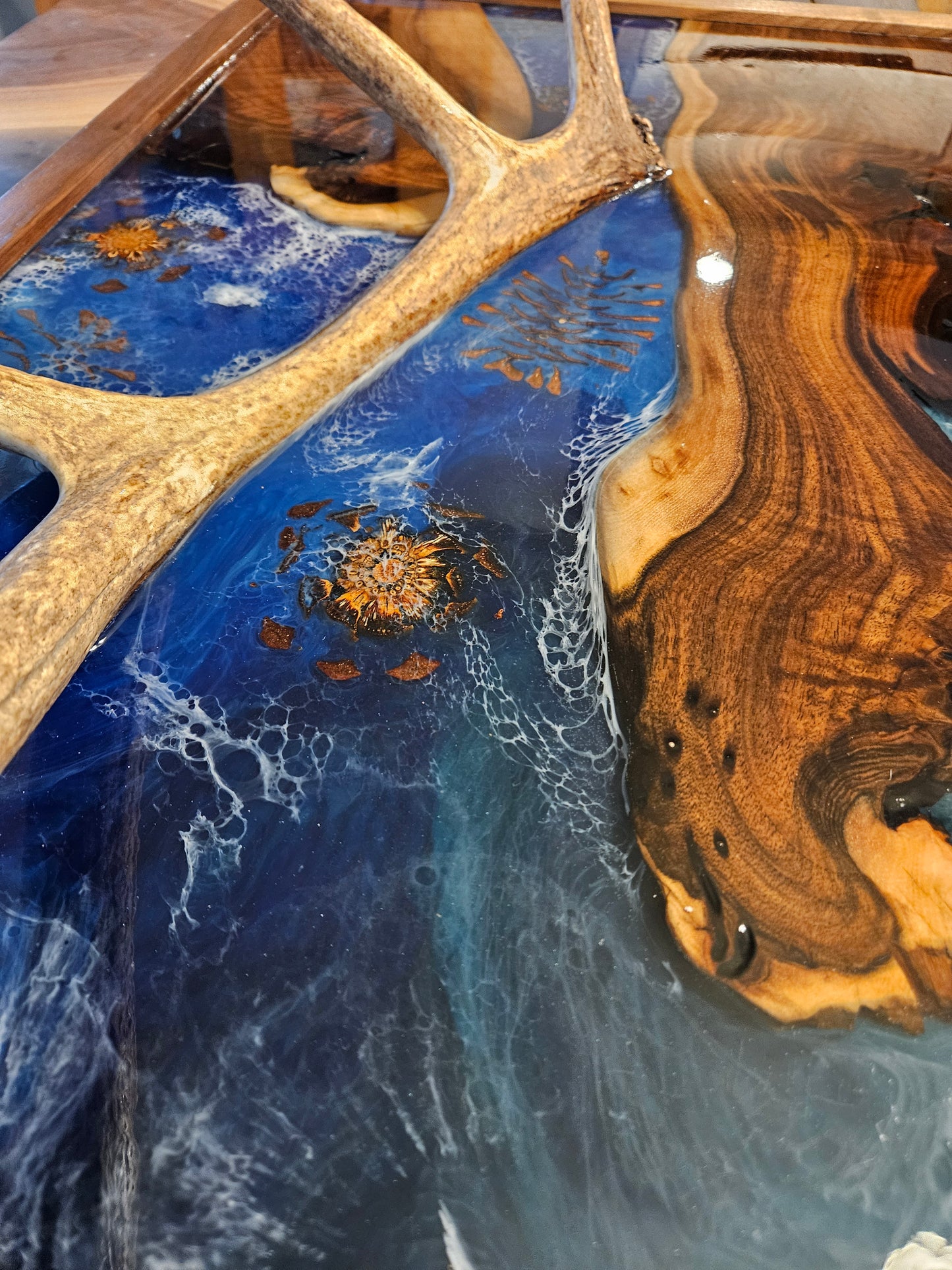 Shed Elk Antler Wall Hanging - "MT Wildlife Collection"