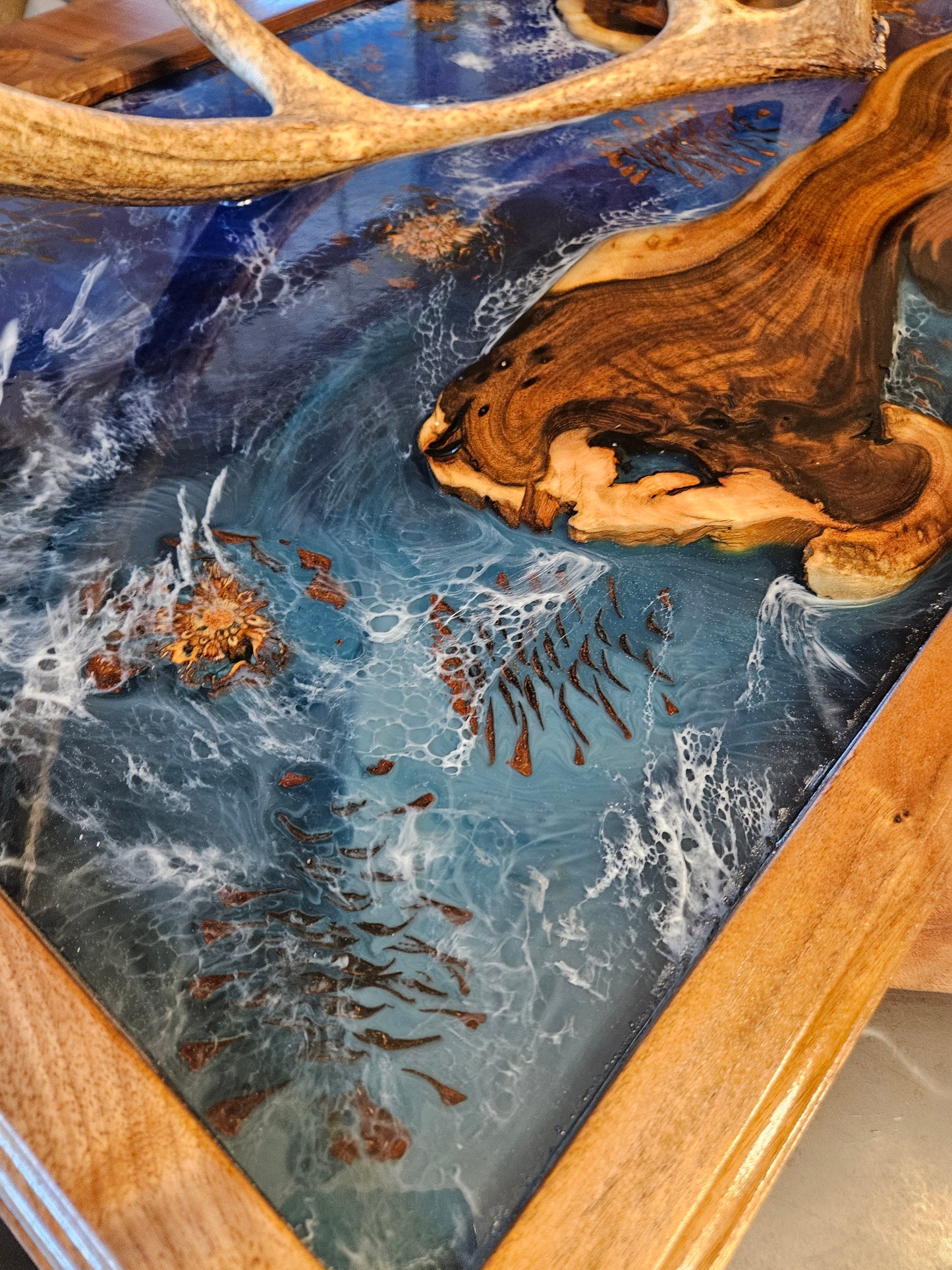 Shed Elk Antler Wall Hanging - "MT Wildlife Collection"