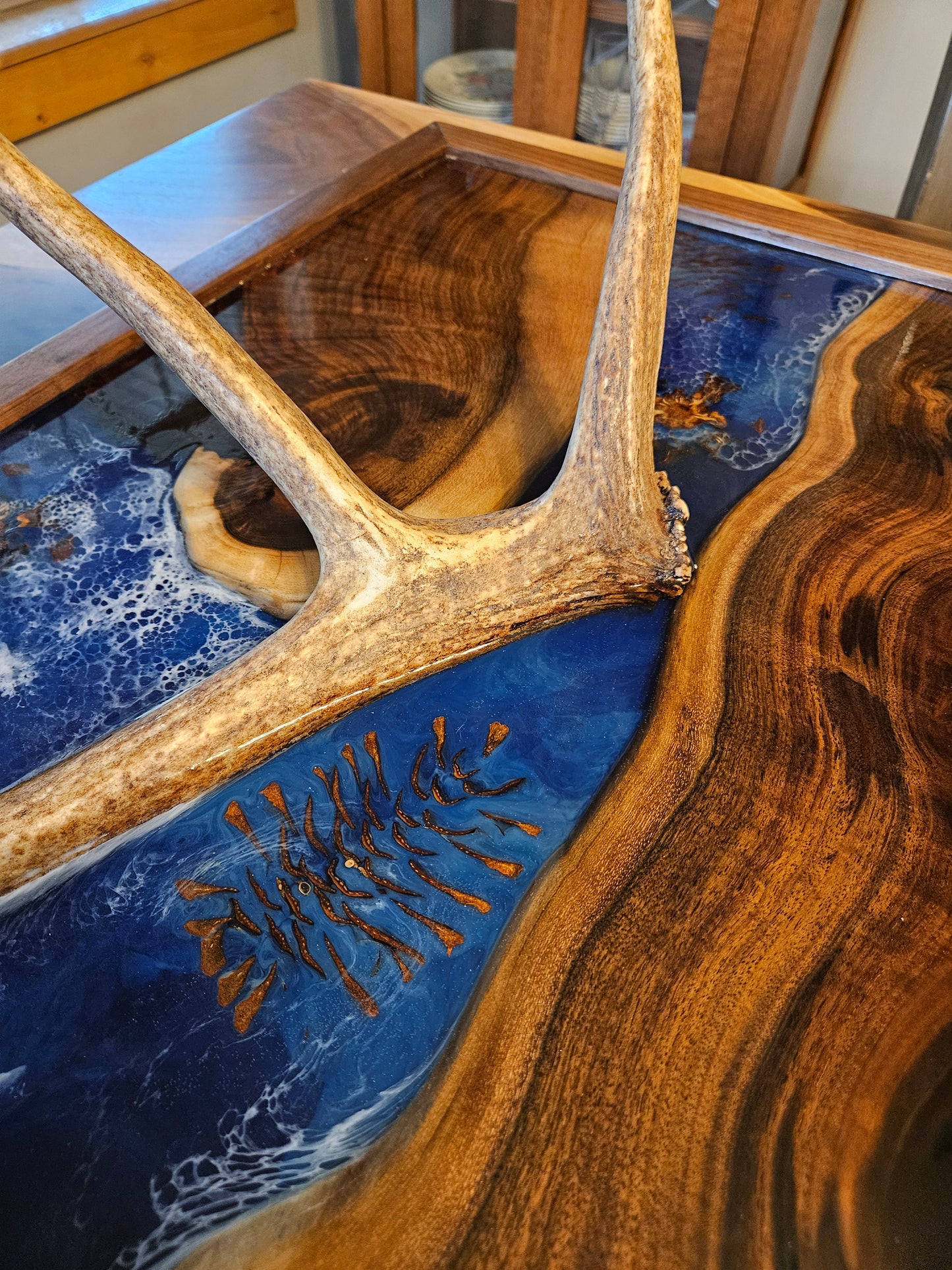 Shed Elk Antler Wall Hanging - "MT Wildlife Collection"