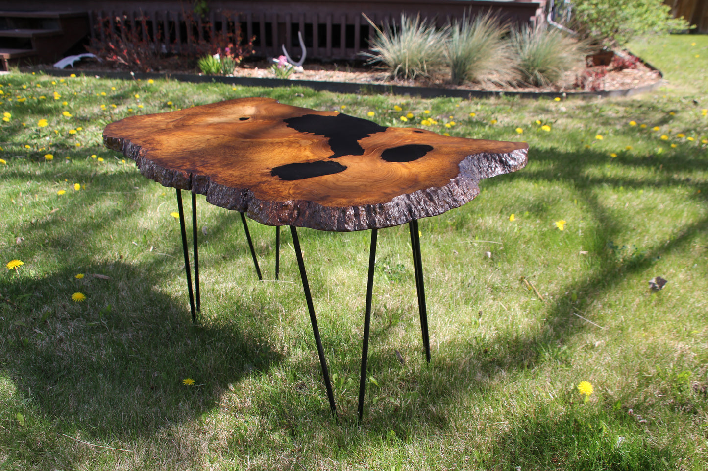 Teak Burl Table