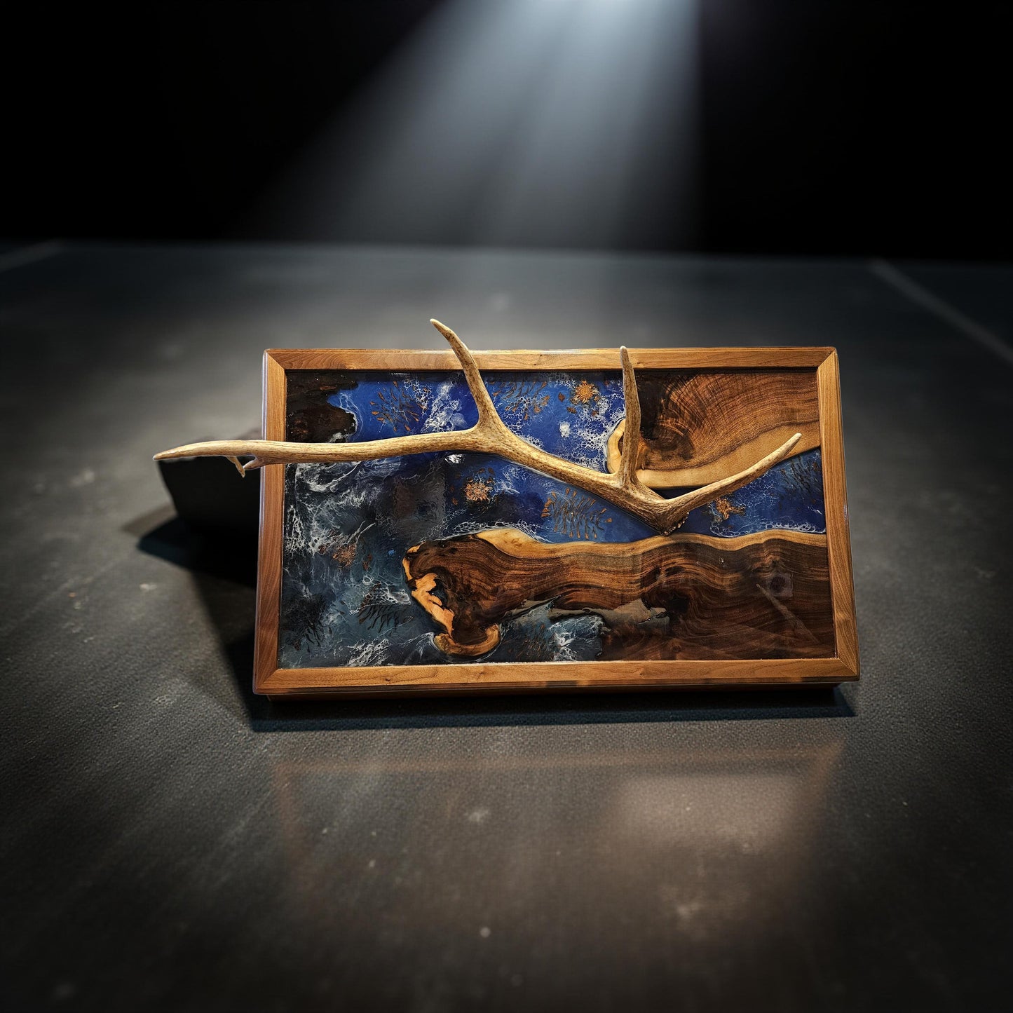 Shed Elk Antler Wall Hanging - "MT Wildlife Collection"